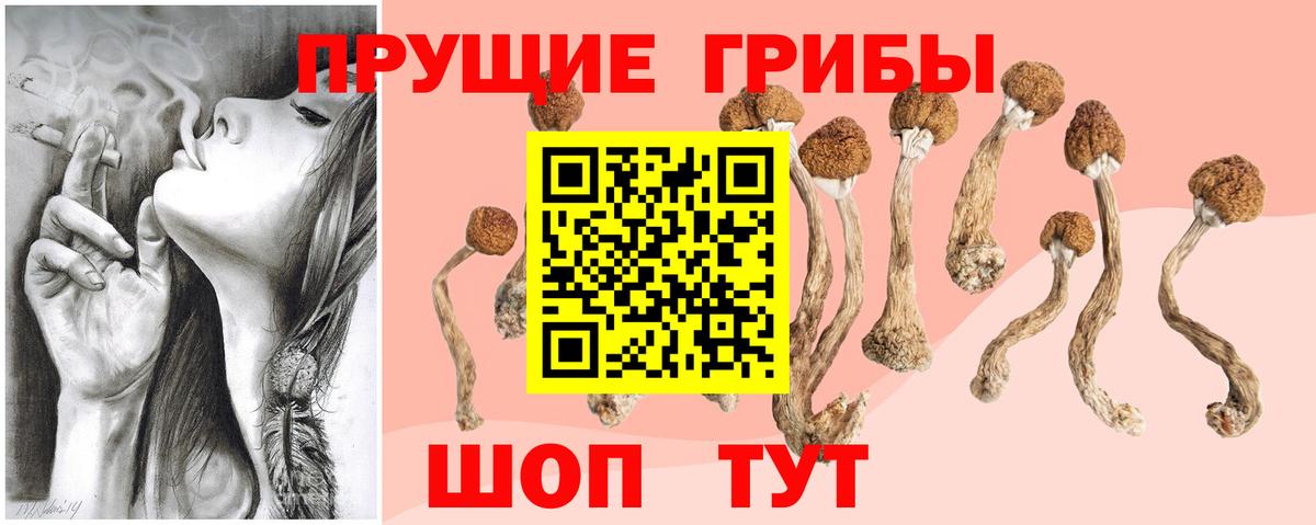 Южноуральск  Псилоцибиновые грибы Psilocybine cubensis  Вход с VPN 